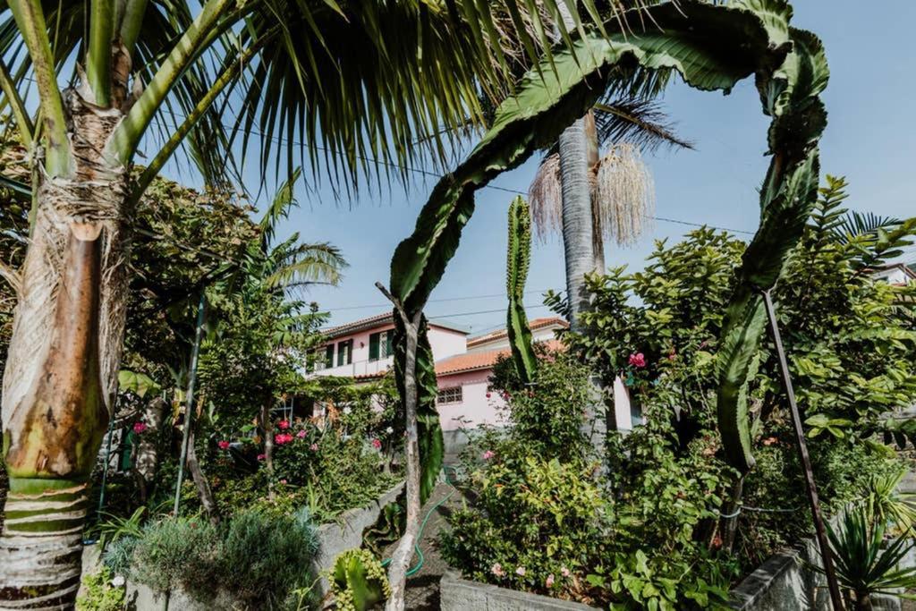 City View Gardens Funchal  Exterior foto