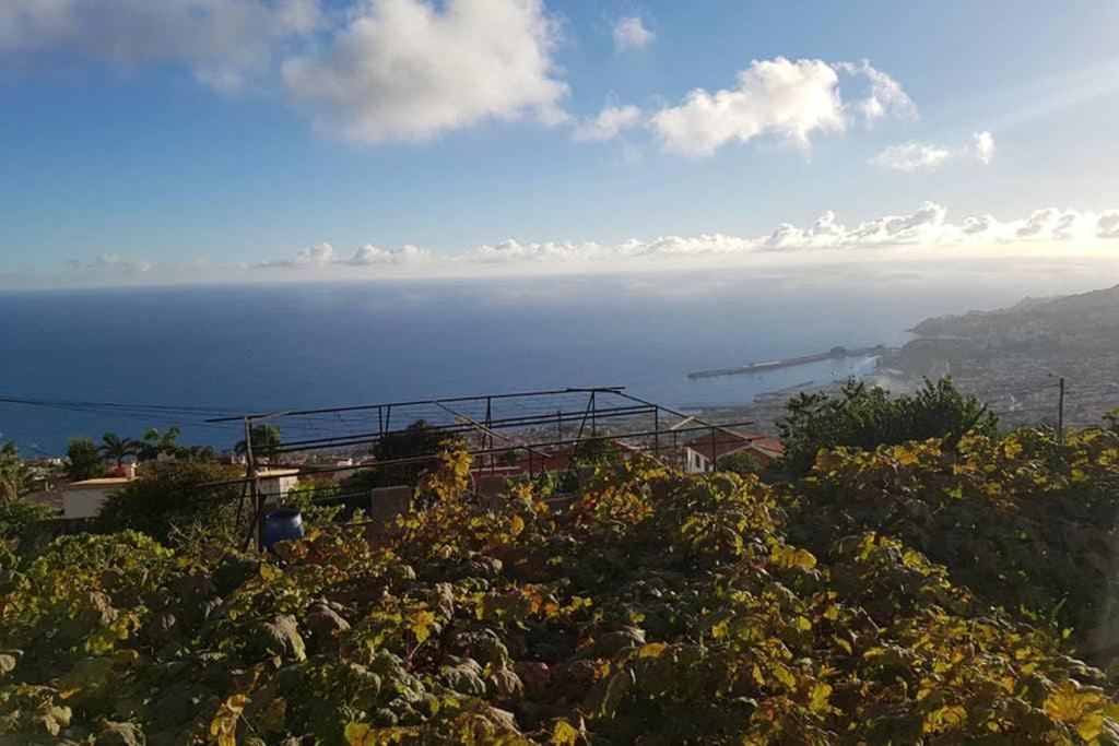 City View Gardens Funchal  Exterior foto
