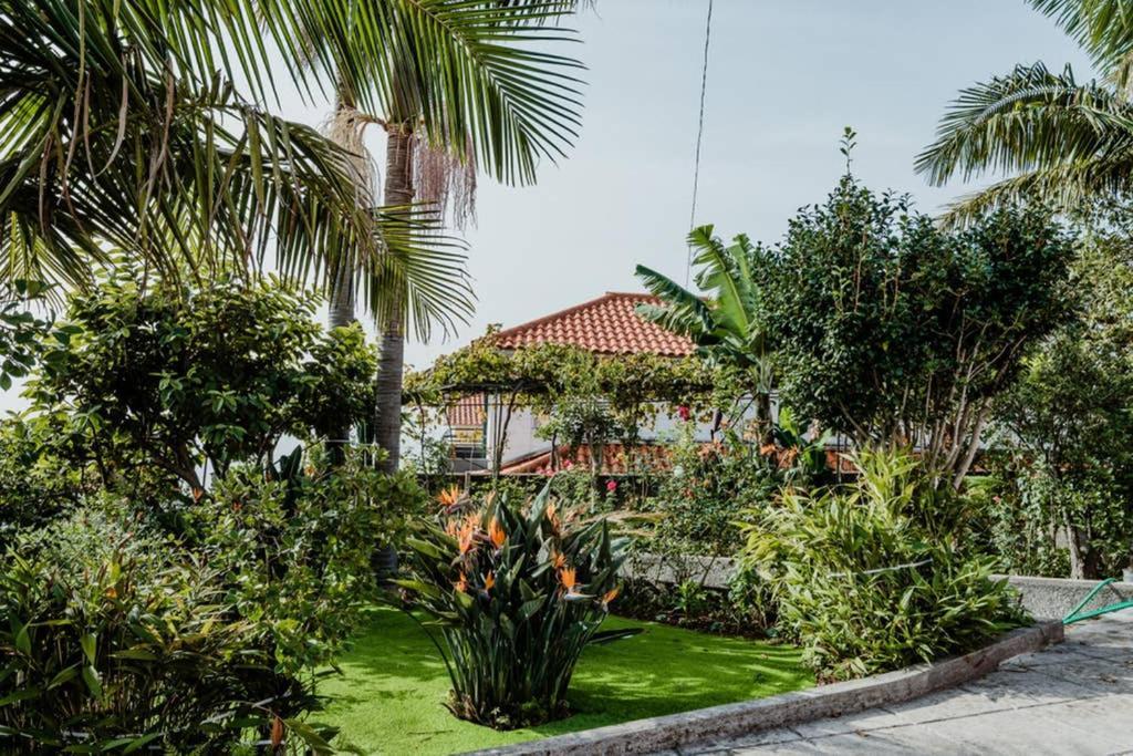 City View Gardens Funchal  Exterior foto